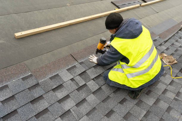 Best Roof Gutter Cleaning  in Dorothy, NJ