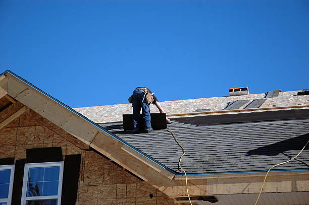 Best Storm Damage Roof Repair  in Dorothy, NJ